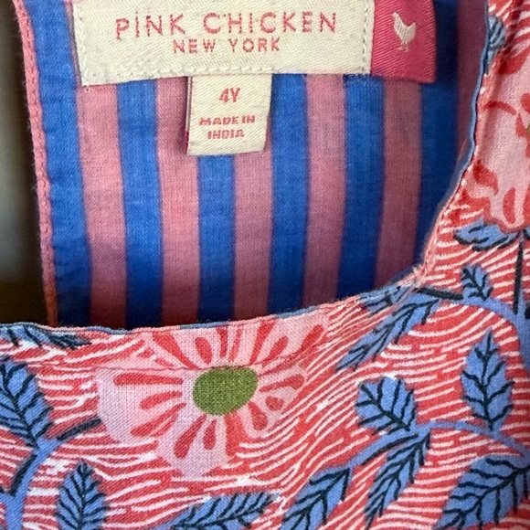 Pink Chicken NY 4Y Elsie Dress Ruffle Flutter Twirl Pink Blue Floral Ferns 4T - Picture 3 of 8